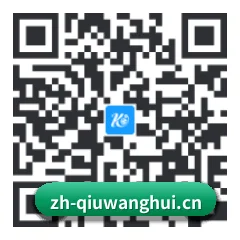 系统版 iOS 二维码
